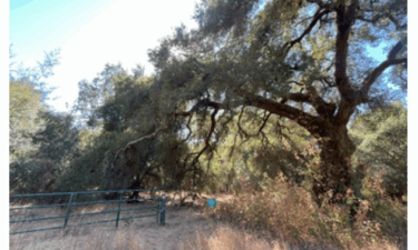 olympia watershed, felton, Resource Conservation District of Santa Cruz